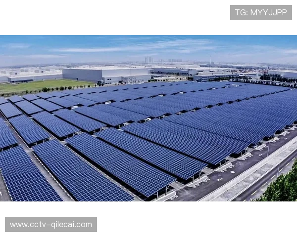 世界杯场馆光伏发电方案公布，将实现能源自给